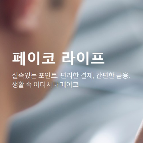 페이코 결제 오류의 주요 원인