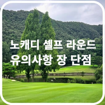 노캐디 골프의 장점