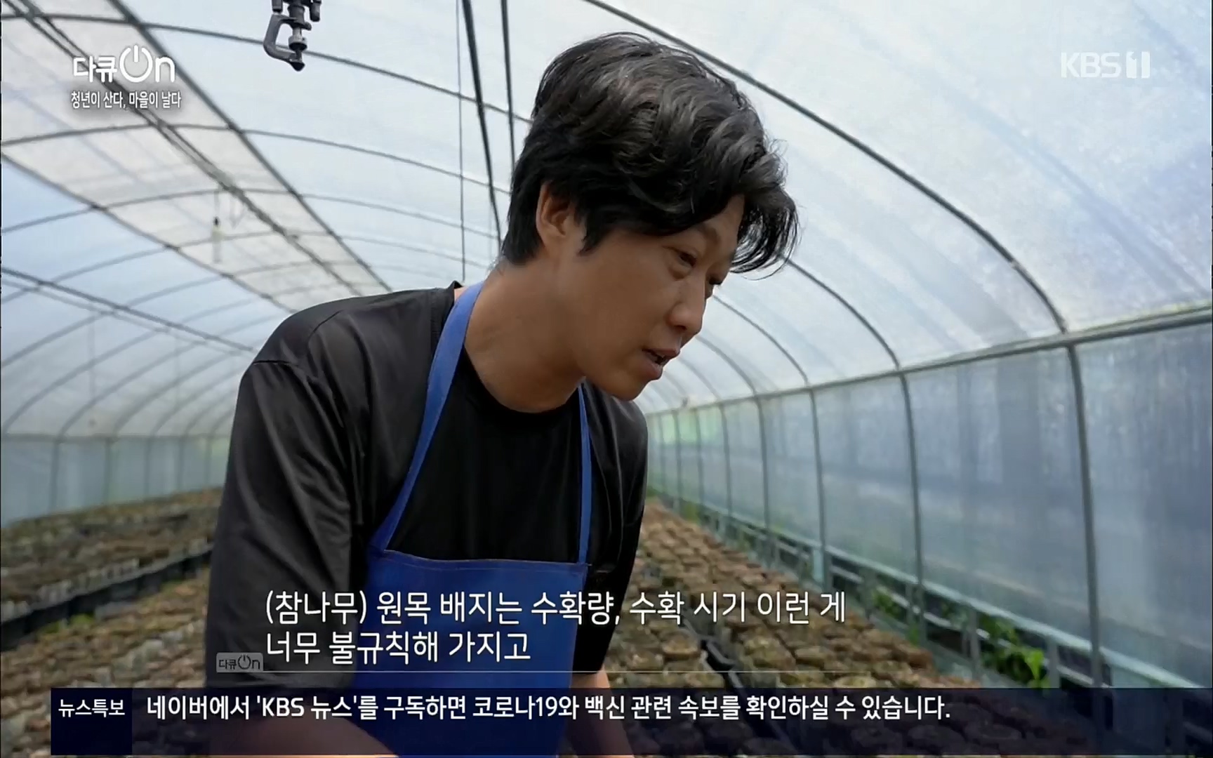 다큐 On.E146.220701p.H264-F1RST.mp4_20220704_205941.633.jpg