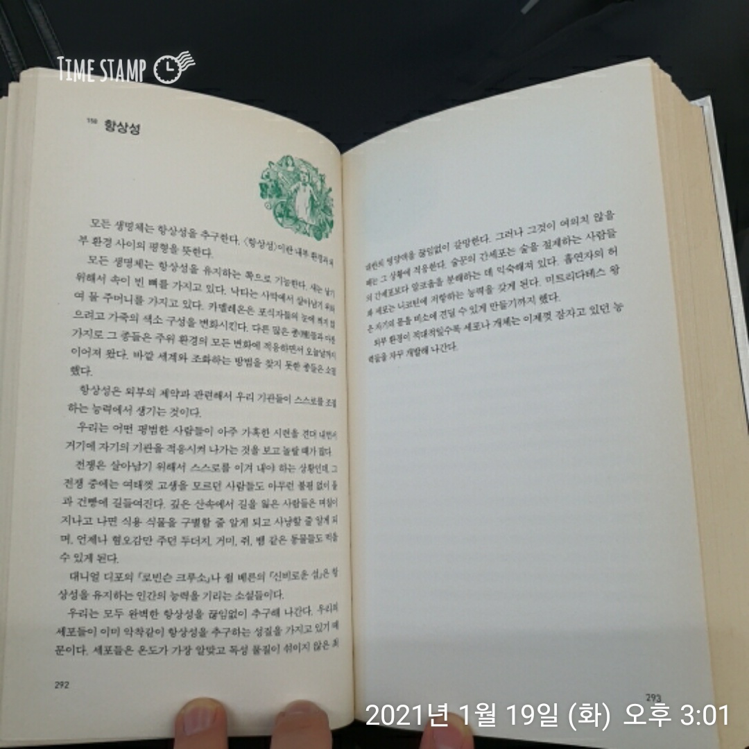  베르나르 베르베르의 상상력 사전, 항상성