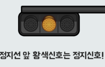  신호 위반 실시간 조회 방법 및 과태료 알아보기(과태료? 범칙금?)
