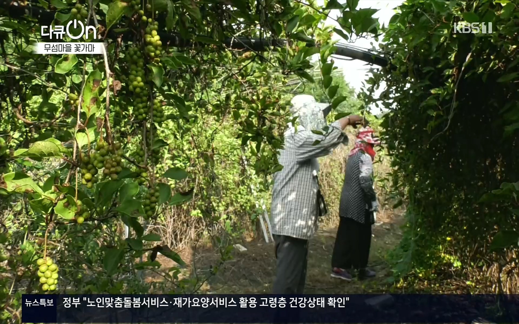 다큐 On.E156.220909p.H264-F1RST.mp4_20220910_192930.450.jpg