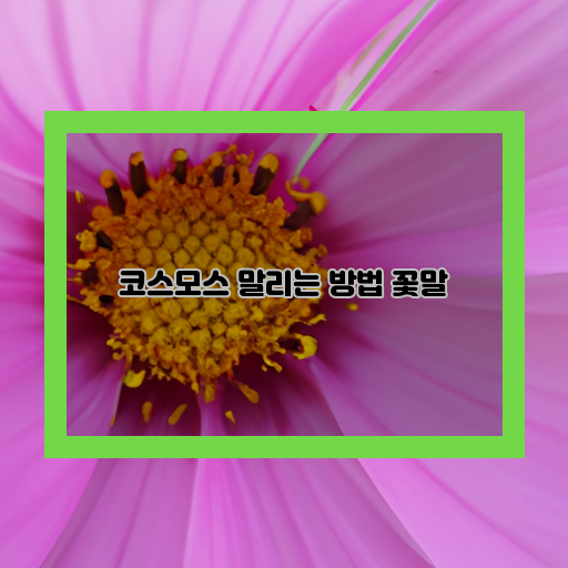  꽃말의 심층 탐구, 코스모스 말리와 함께