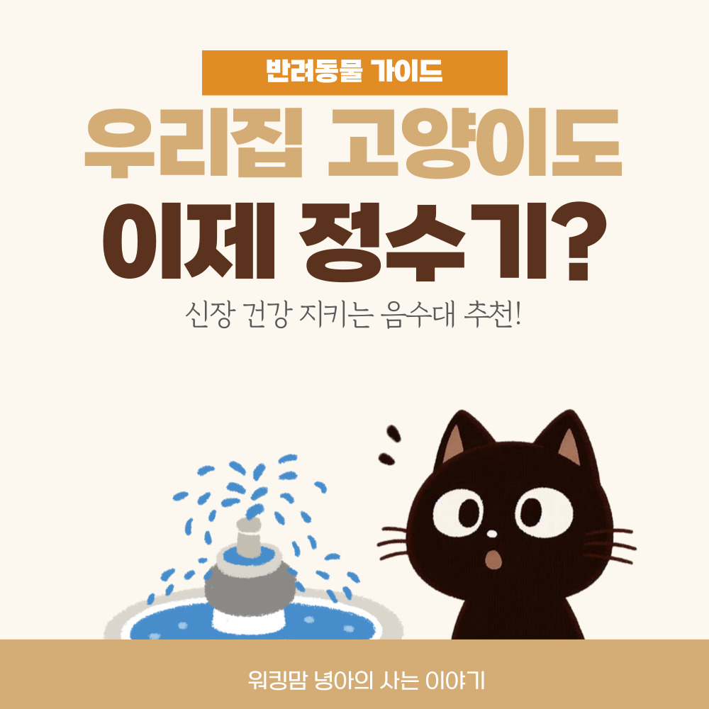 고양이-음수대-정수기-포스팅-대문이미지