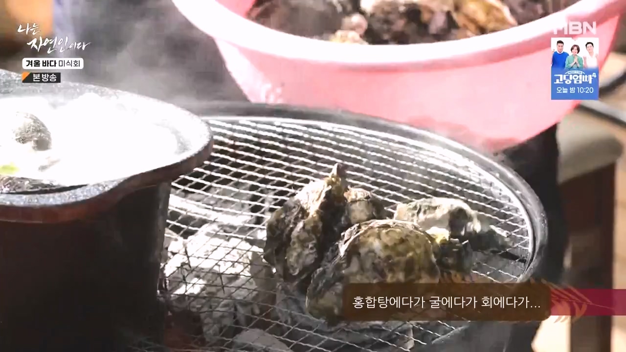 나는 자연인이다.E584.231214p-NEXT.mp4_20231214_194909.845.jpg