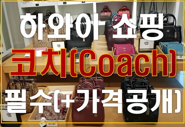  하와이 쇼핑 : 코치(Coach)쇼핑 필수! +가격있음 +쇼핑도움!!