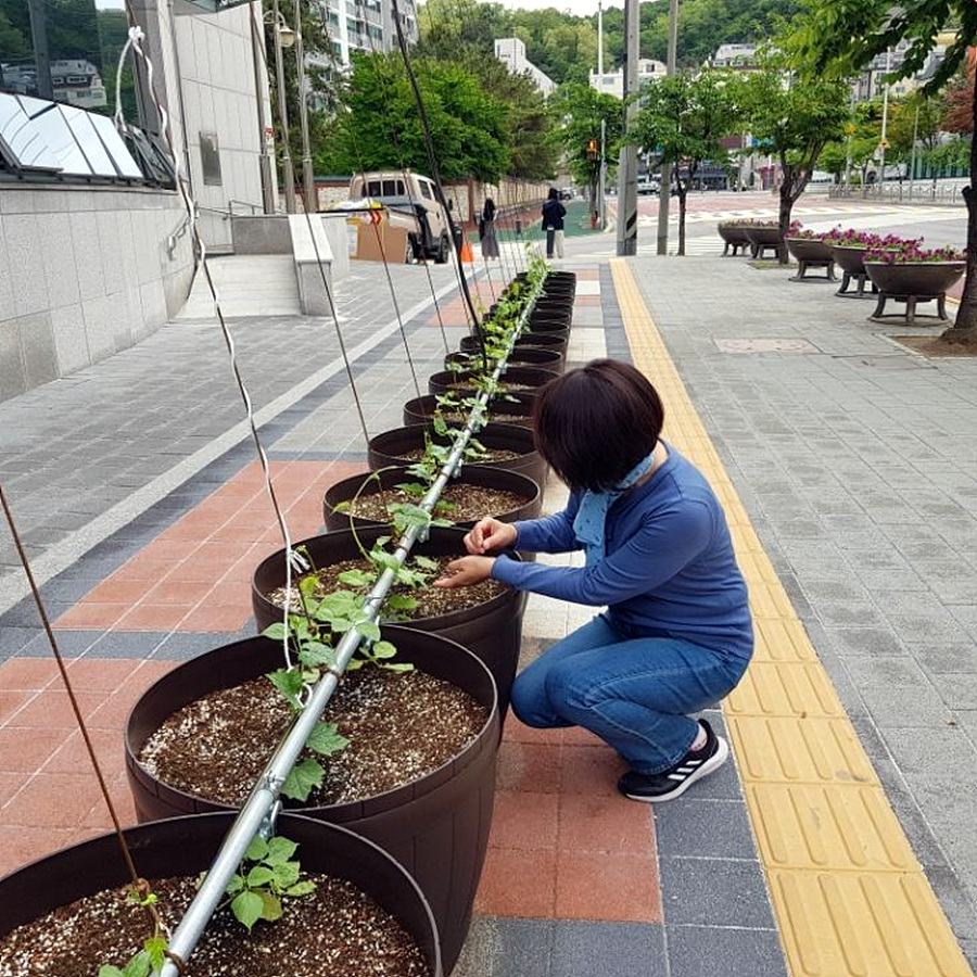 kbs1tv 다큐온 KBS1TV // 회천3동 생태그늘막 25