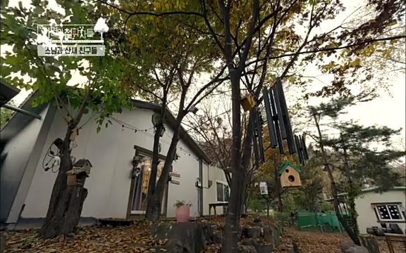 [3회] 자연의 철학자들 - KBS새처럼 살고 싶어라] 자연이라는 위대한 법당에서 숲의 울림, 새들의 소리를 들으며 깨달음을 얻은 도연 스님.ts_20220320_153550.793.jpg