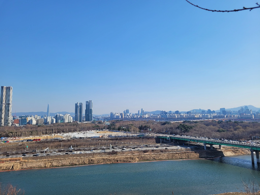 응봉산 개나리축제