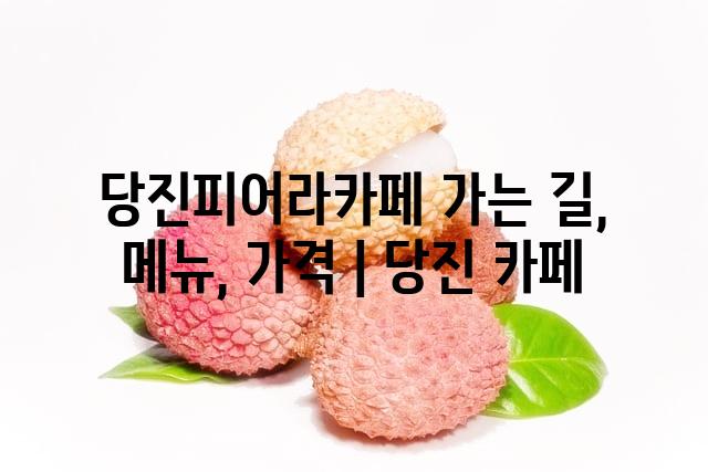 랜덤146