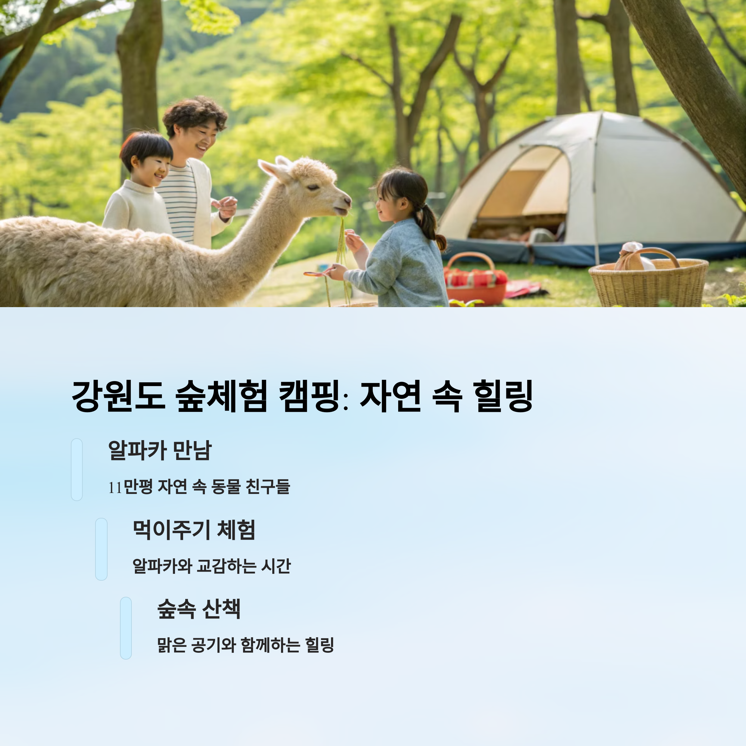 강원도 숲체험캠핑