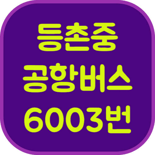 등촌중학교-6003번-공항버스-이미지