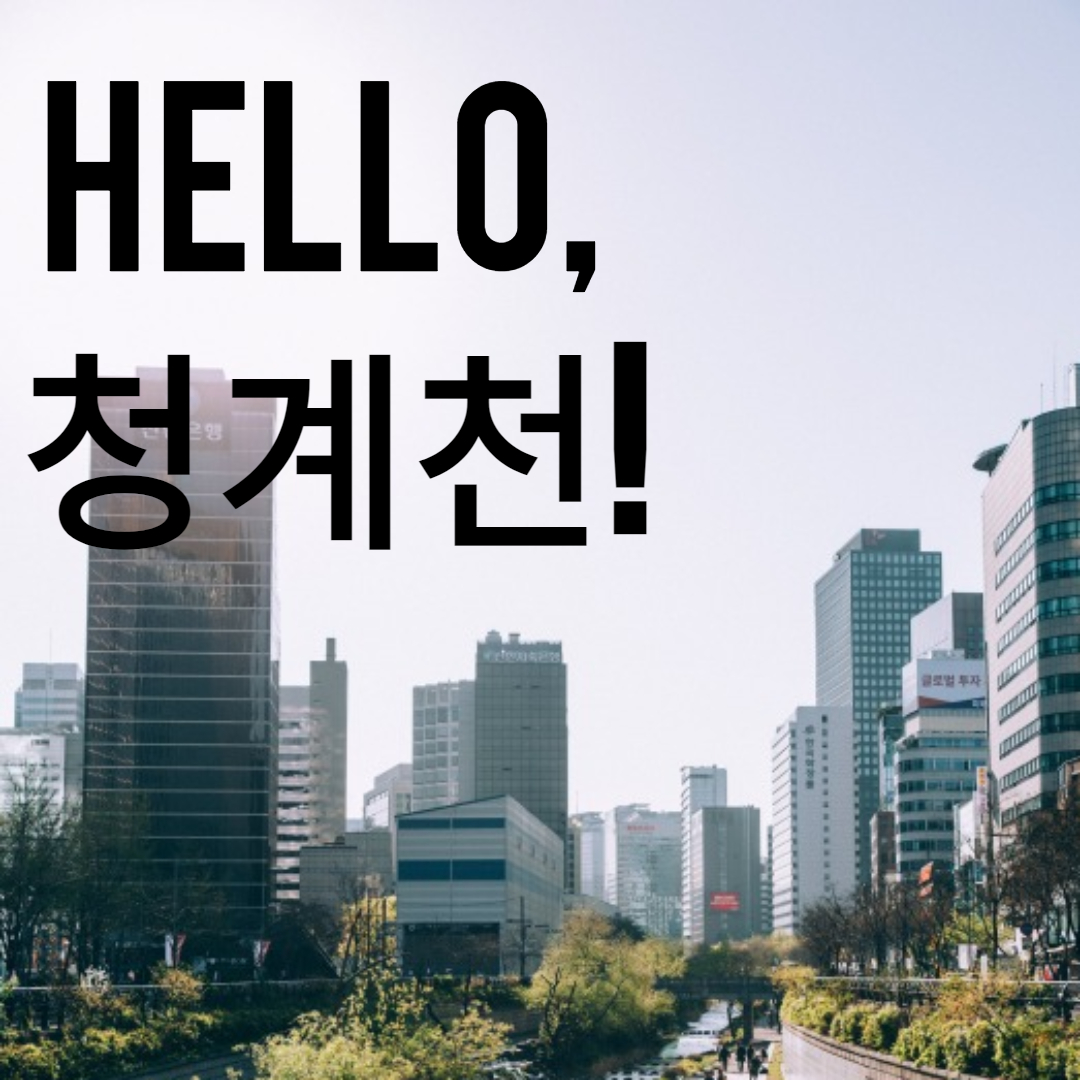  청계천(인사동에서 광화문까지 도보 운동)