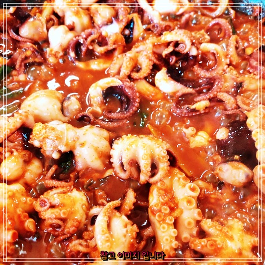  전현무계획 신당동 신당역 유림옥 쭈꾸미돌판구이 곽튜브 송해나 쭈꾸미삼돌구이 주꾸미 맛집 위치