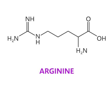 아르기닌 부작용&amp;#44; 아르기닌의 효능&amp;#44; 복용법 총정리 (2024ver)