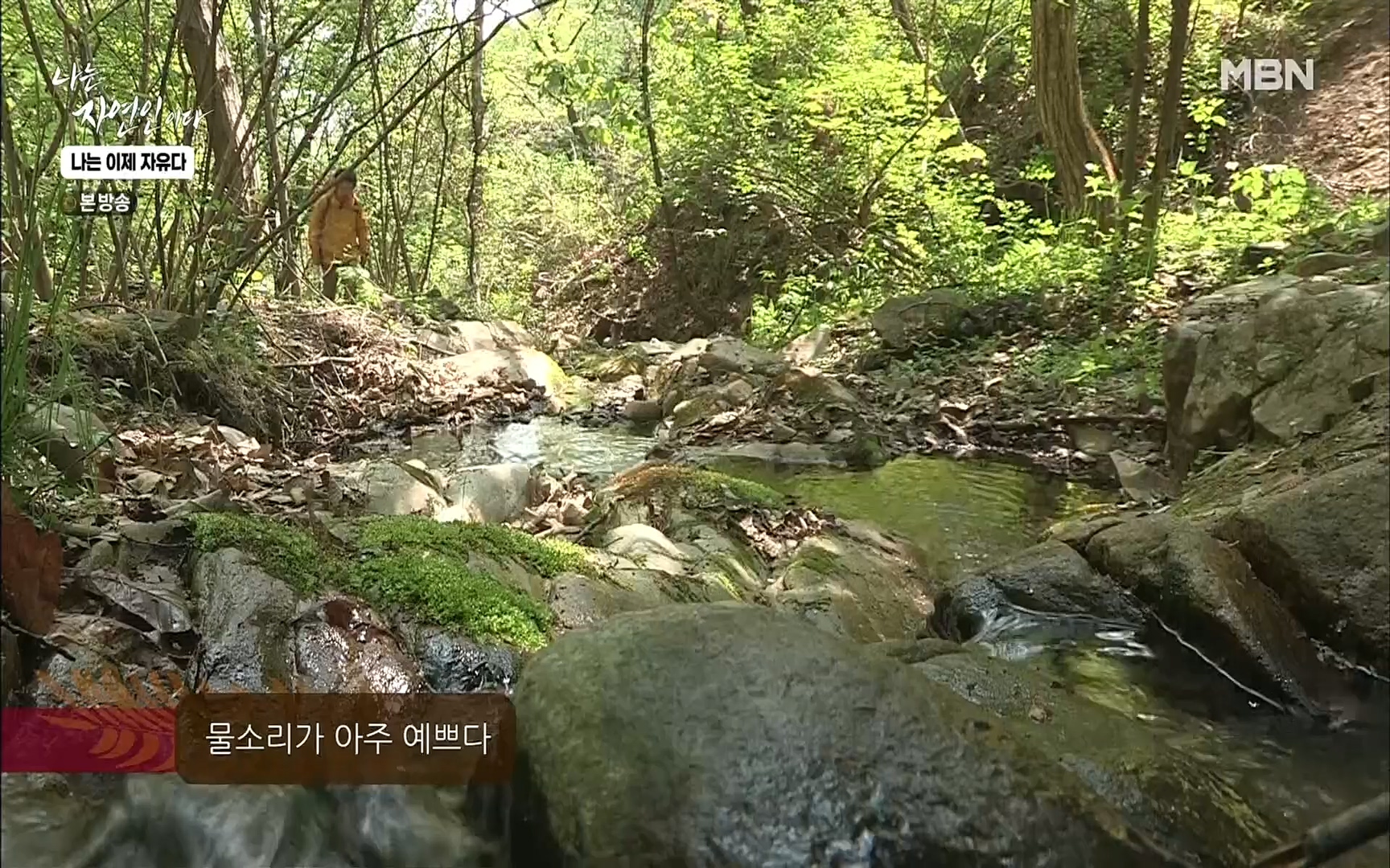 나는 자연인이다.E503.220525p.H264-F1RST.mp4_20220526_201137.636.jpg