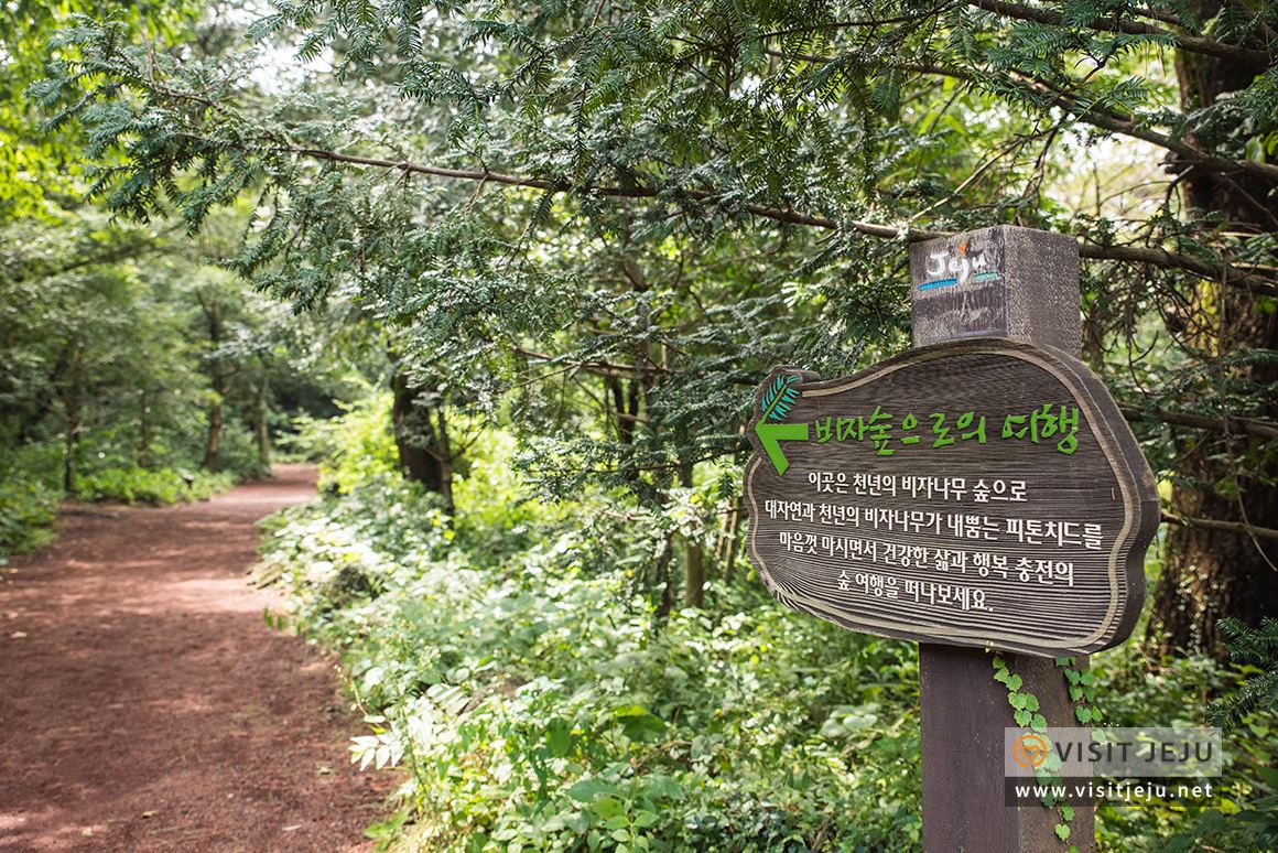  [제주도여행]제주도 가볼만한곳 추천2