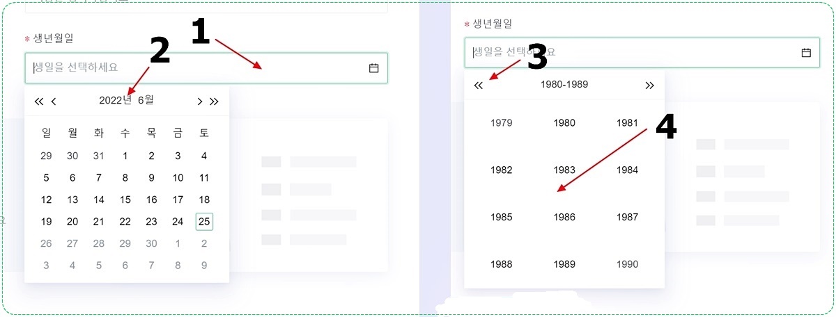 생년월일 입력