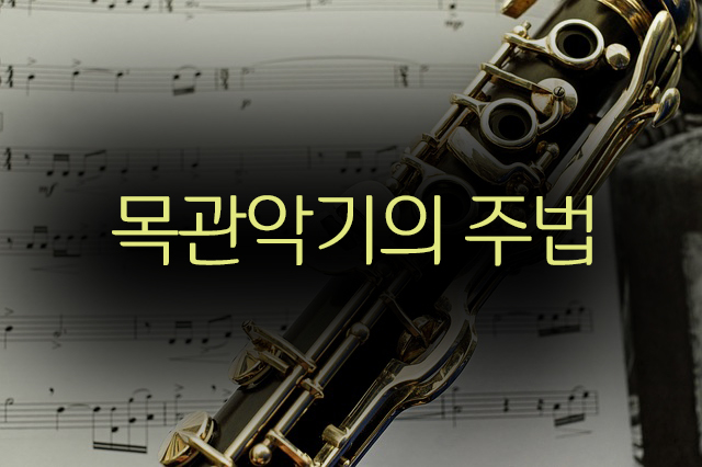  악기론 class 목관악기의 주법