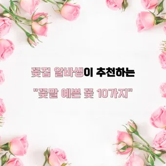 예쁜 꽃말 추천 모음 이해할수록 매력적인 꽃들의 꽃말 안내 모음_17