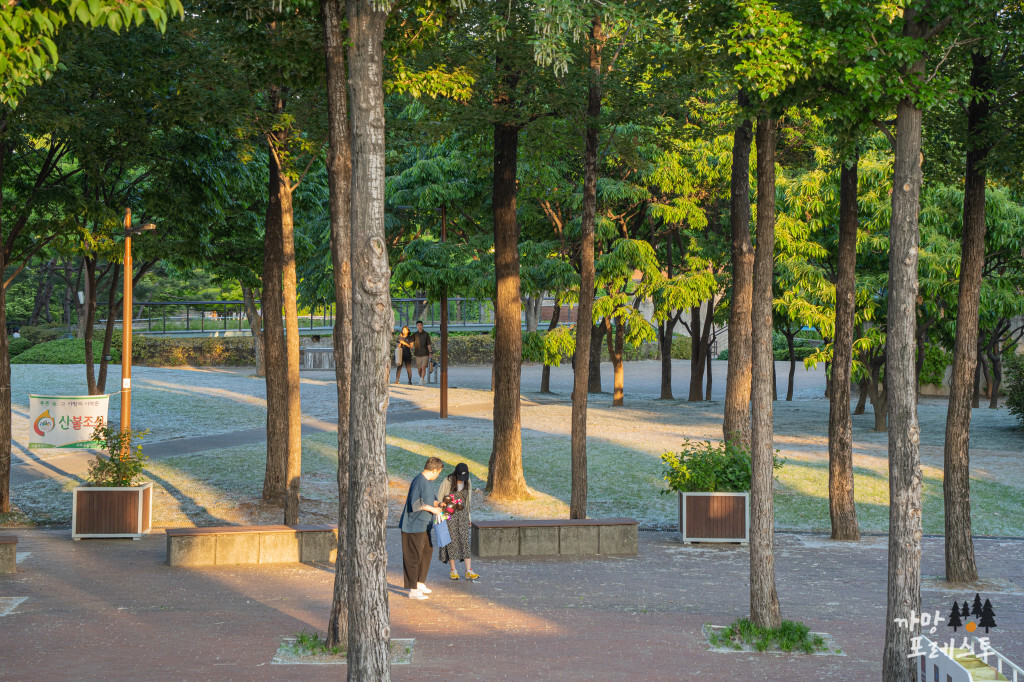 선유도공원 산책