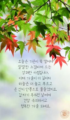 가을이미지