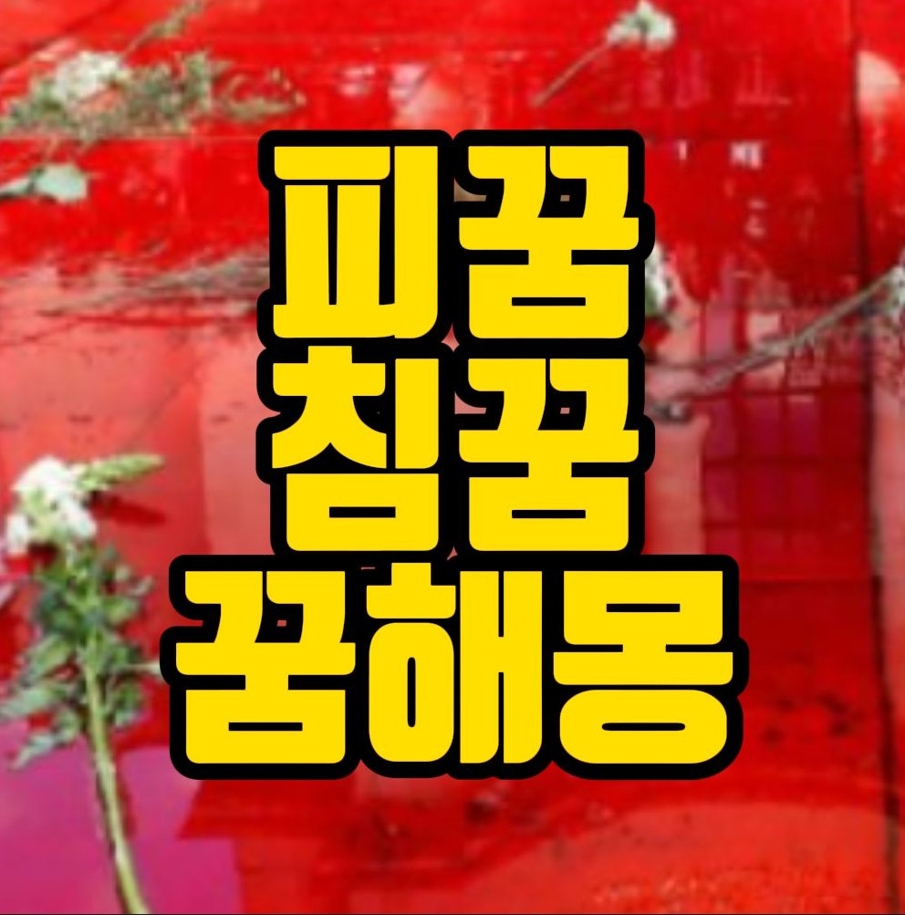  [꿈해몽] 피꿈, 코피꿈, 생리혈꿈, 침뱉는꿈 관련 꿈풀이 30선