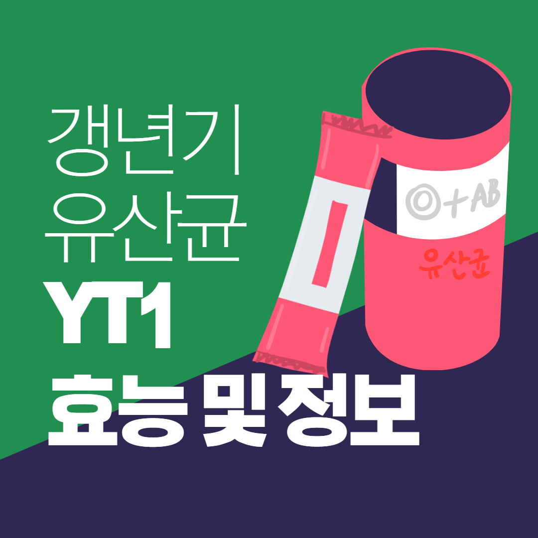  갱년기 유산균 YT1 효능 및 가격정보