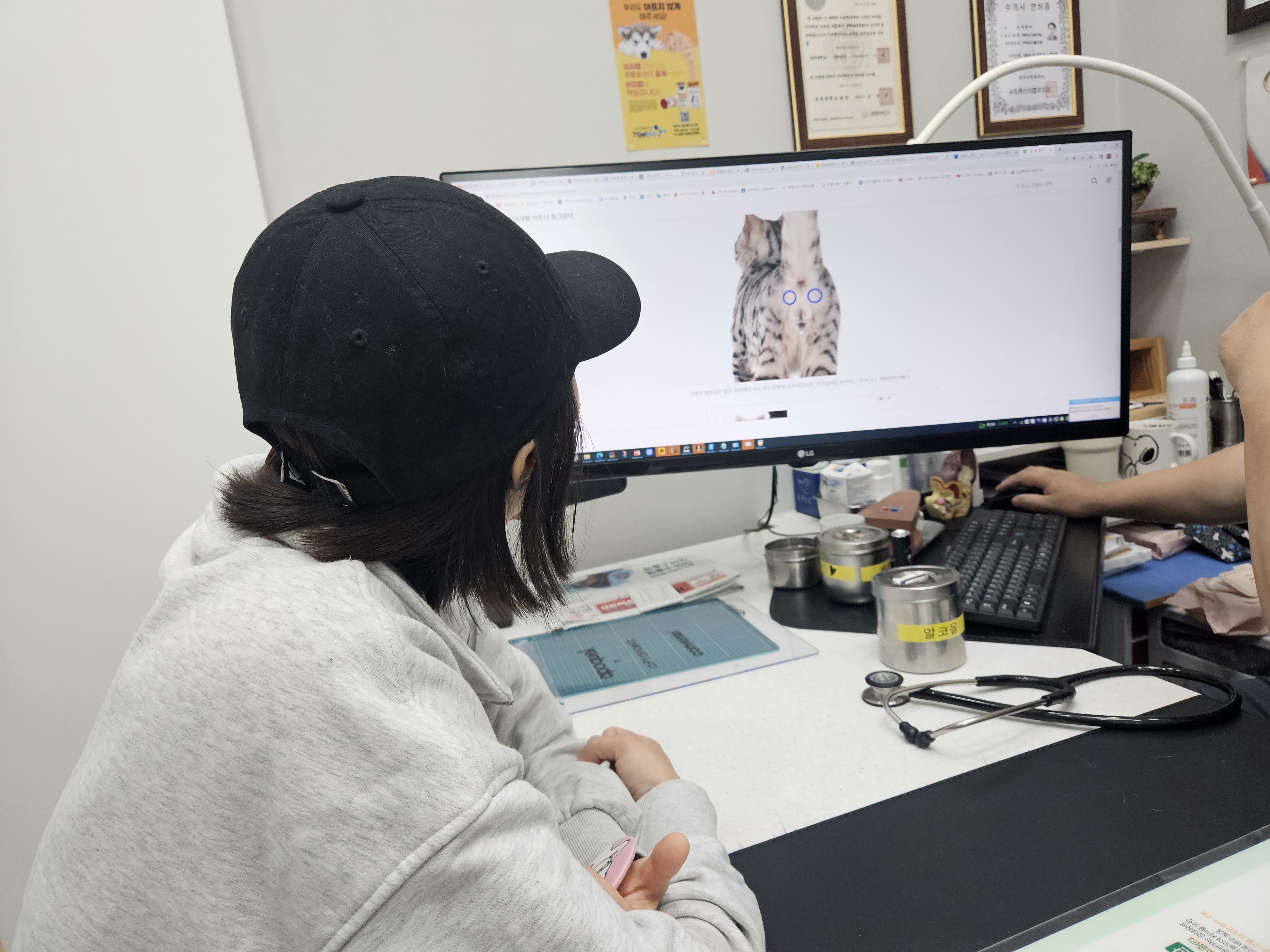 엑조틱고양이
이그조틱고양이
충주 동물병원
충주 박동물병원
박동물병원
고양이 항문낭
고양이 멘스
고양이 정상체온
고양이 광견병 예방접종
광견병 지자체 접종비 지원
고양이 예방접종
박동물병원 재활치료실