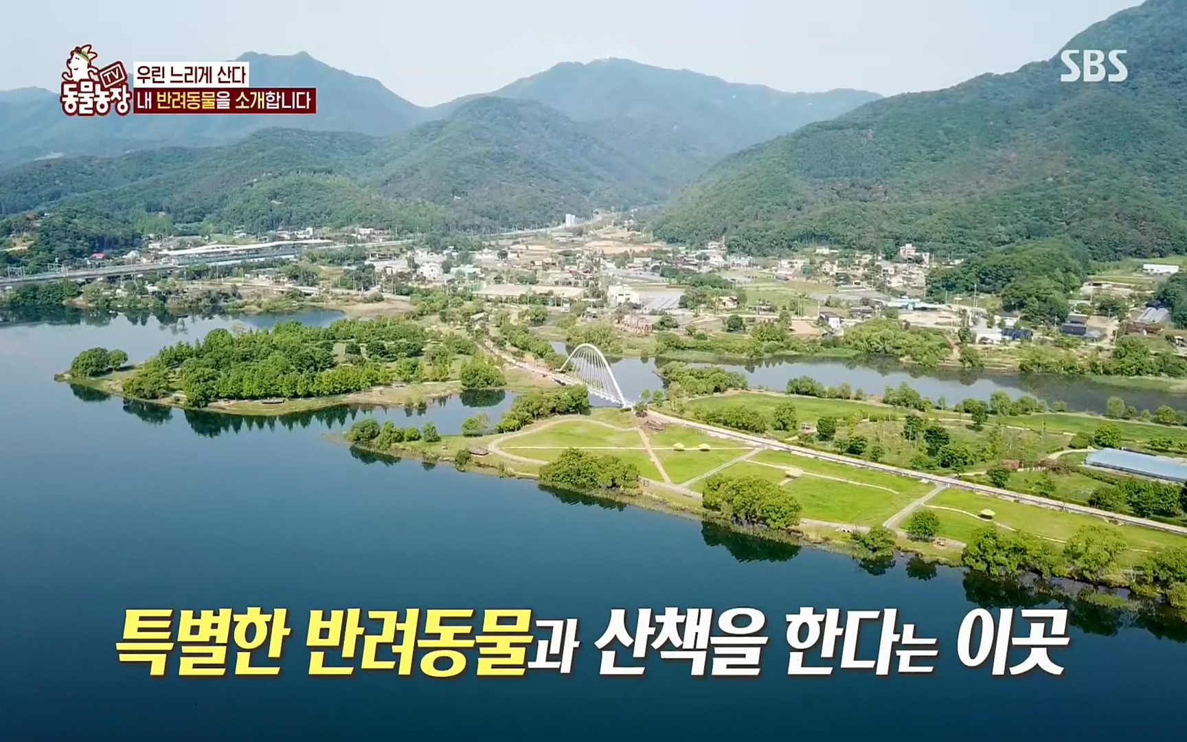 TV 동물농장.E1074.220619p.H264-F1RST.mp4_20220619_180846.332.jpg