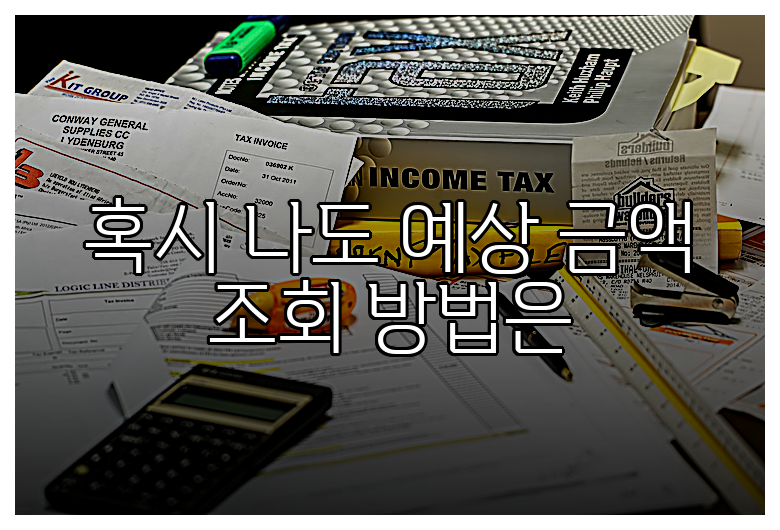 혹시 나도 예상 금액 조회 방법은