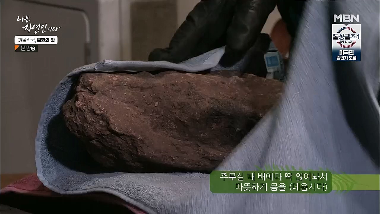 나는 자연인이다.E536.230112p.H264-F1RST.mp4_20230112_193516.820.jpg