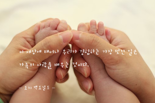  한 줄 명언 - 가족 사랑