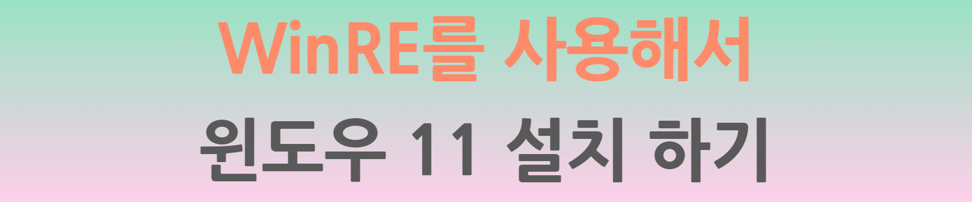 WinRE로 윈도우 11 설치하기