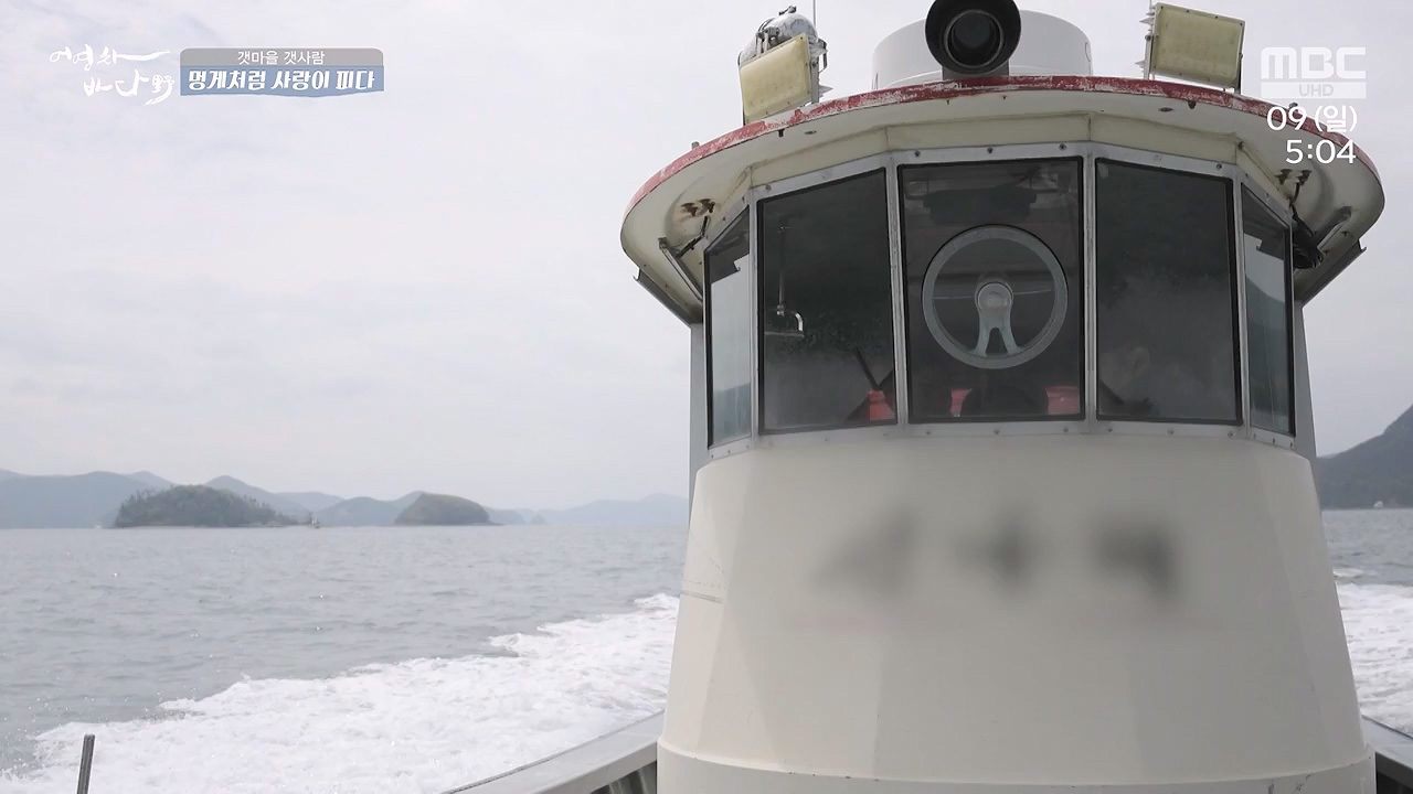 MBC 네트워크 특선 푸른백세 어영차 바다야.E1684.240610p-NEXT.mp4_20240611_203112.002.jpg