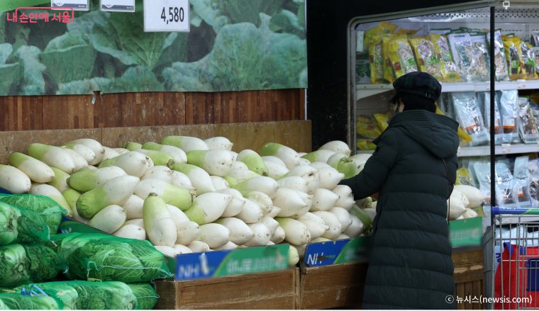 '설 종합대책' 안전, 민생 챙긴다!