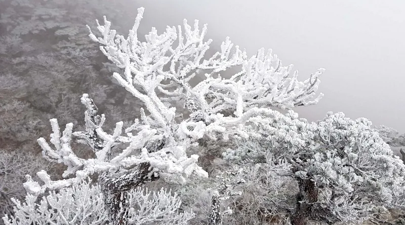 합천 가야산 설경