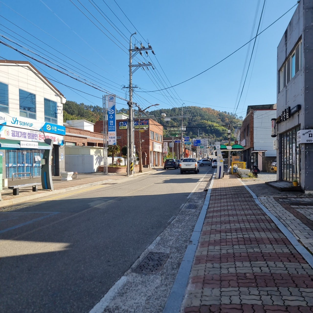 느티나무식당 사진 7