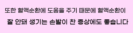  또한 혈액순환에 도움을 주기 때문에 혈액순환이 잘 안돼 생기는 손발이 찬 증상에도 좋습니다