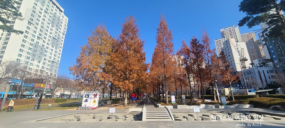 부산 신신호텔 서면 주변 가볼만한곳 BEST 8 송상현 광장