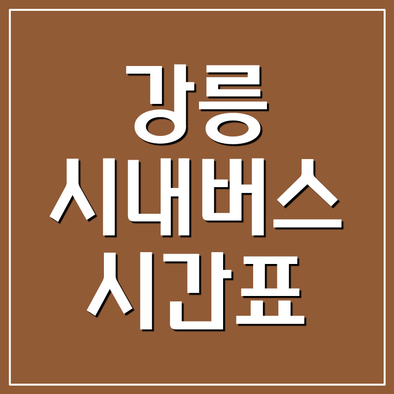  강릉 시내버스 시간표 및 요금 안내