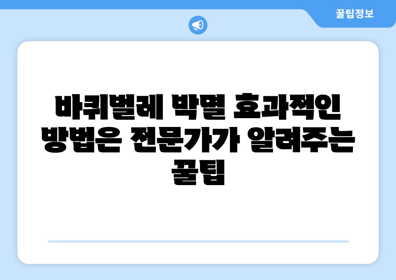 바퀴벌레 박멸 효과적인 방법은 전문가가 알려주는 꿀팁
