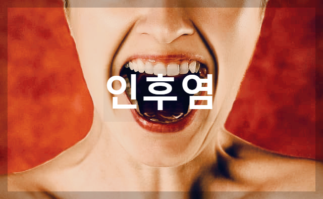  인후염 : 바이러스, 세균에 감염되어서 인두에 생기게 되는 염증