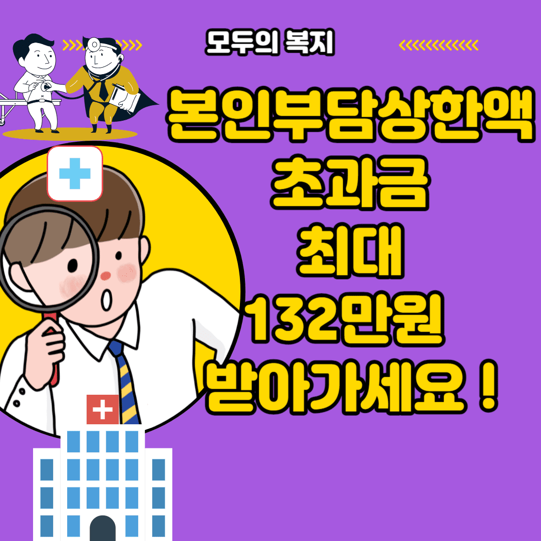  본인부담상한액 초과금 최대 132만원 이득을 볼 수 있는