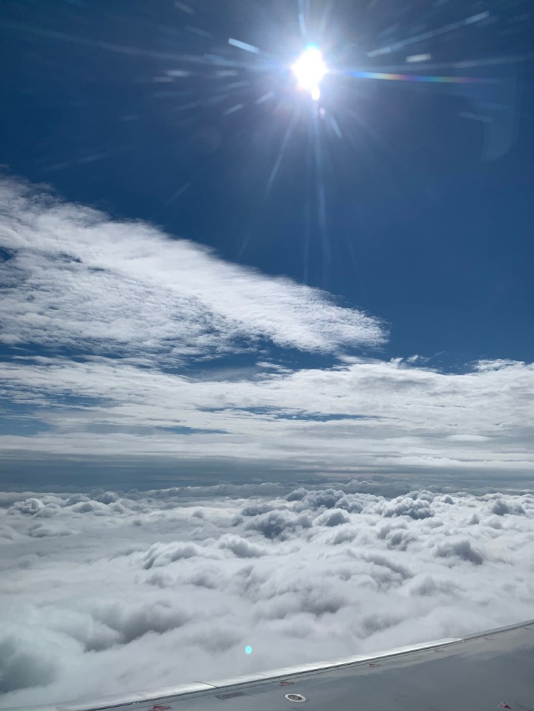 오헤어-뉴욕 JFK 공항 후기 델타항공 타고 시카고 32
