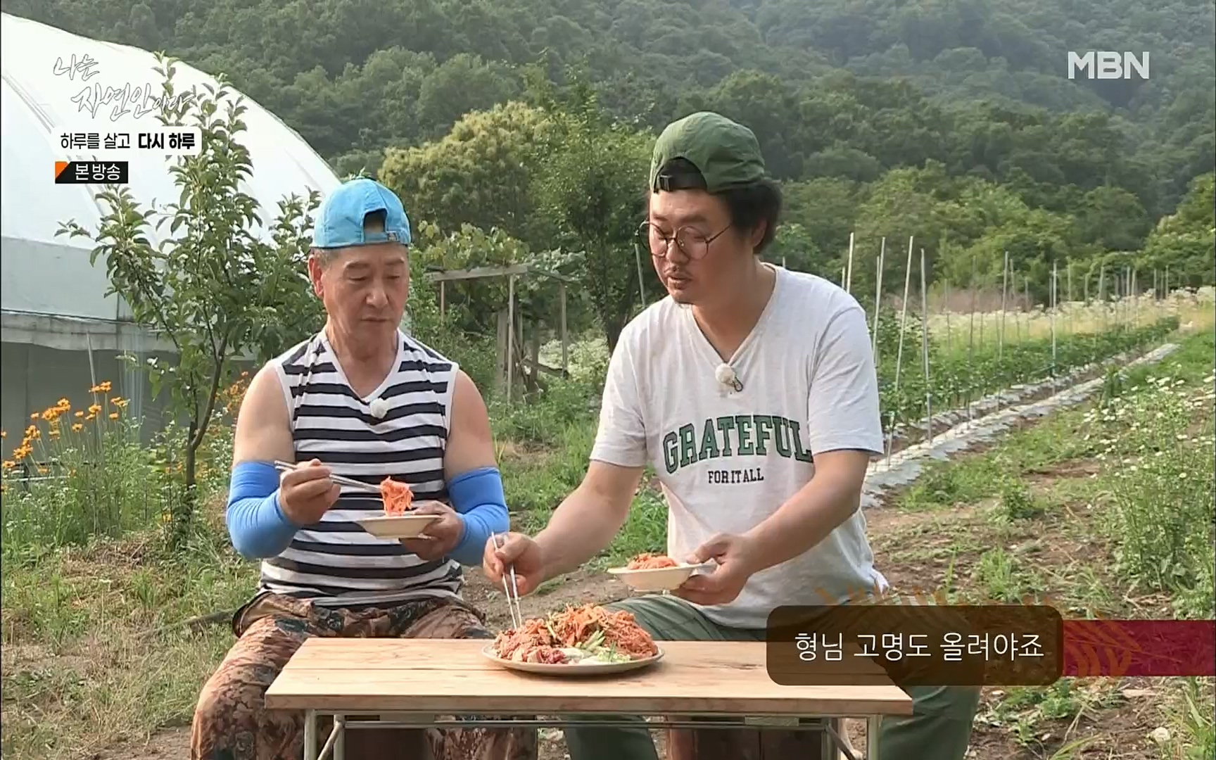 나는 자연인이다.E509.220706p.H264-F1RST.mp4_20220707_183738.290.jpg