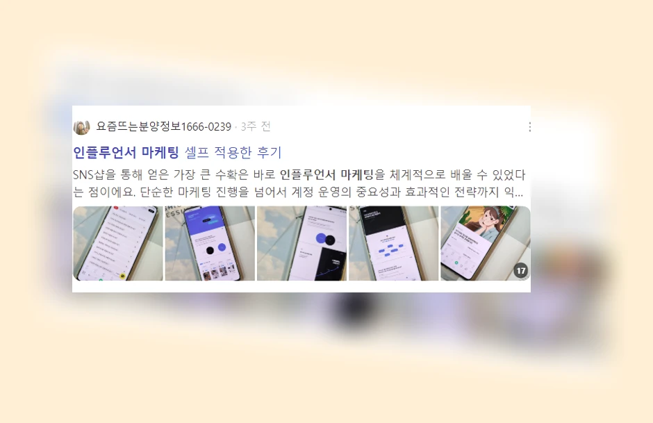 인플루언서 마케팅_3_subsection