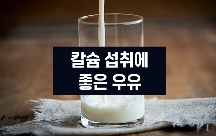 칼슘이 많은 으유