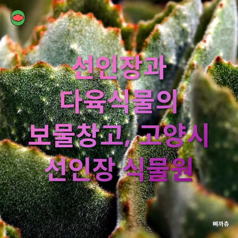 선인장 식물원_1
