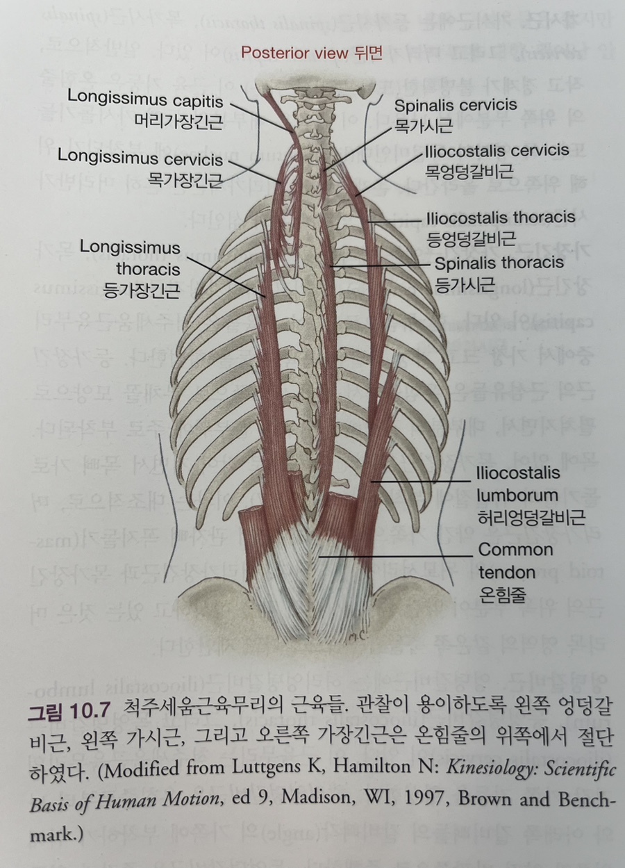 리픽스 이미지